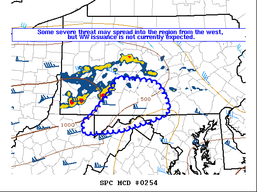 Mesoscale Discussion 254