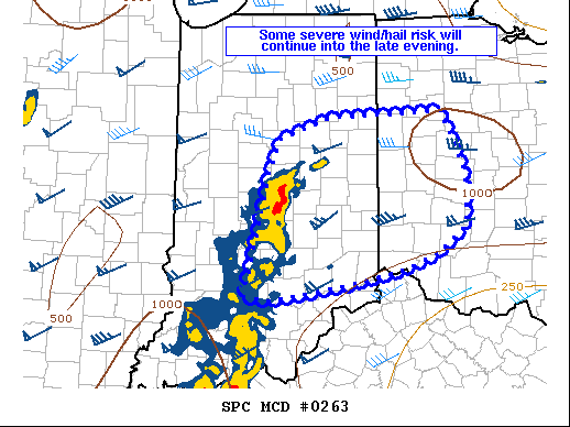 Mesoscale Discussion 263