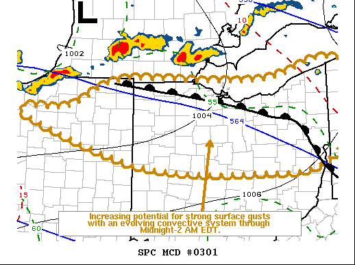Mesoscale Discussion 301