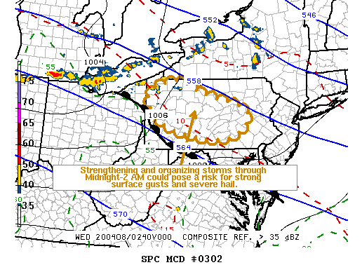 Mesoscale Discussion 302