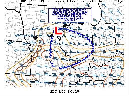 Mesoscale Discussion 310