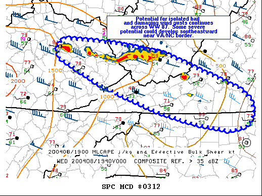 Mesoscale Discussion 312