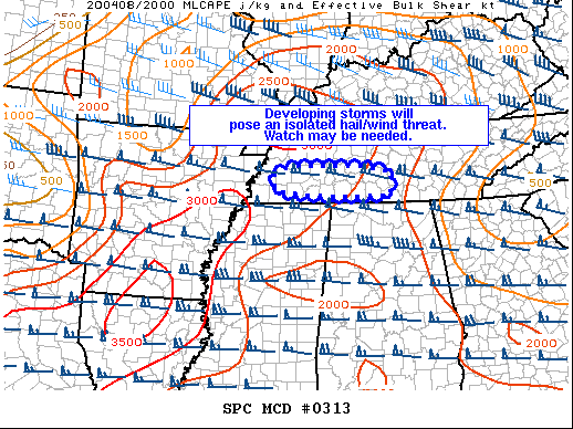 Mesoscale Discussion 313