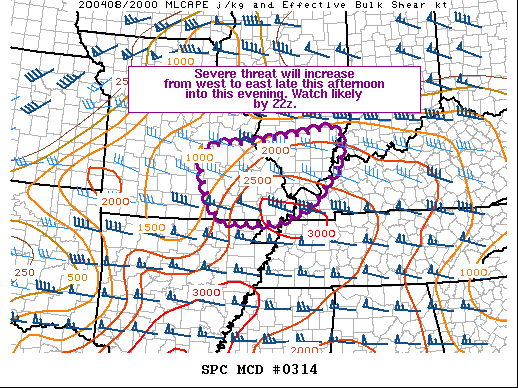 Mesoscale Discussion 314