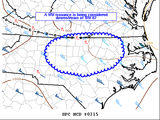 Mesoscale Discussion 315