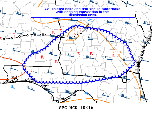 Mesoscale Discussion 316