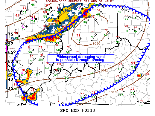 Mesoscale Discussion 318