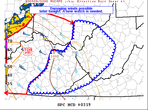 Mesoscale Discussion 319