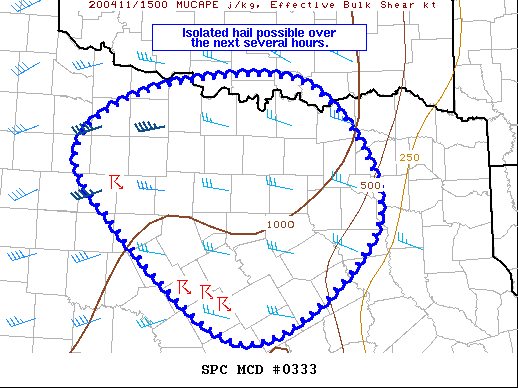 Mesoscale Discussion 333