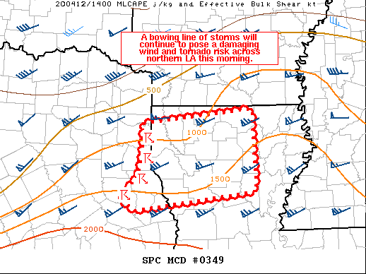 Mesoscale Discussion 349