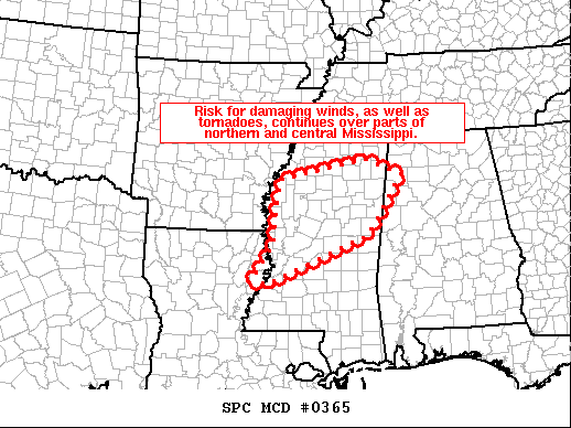 Mesoscale Discussion 365