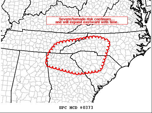 Mesoscale Discussion 373