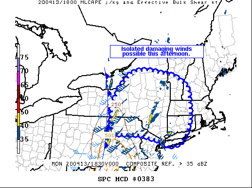 Mesoscale Discussion 383