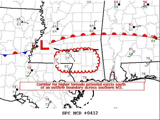 Mesoscale Discussion 412