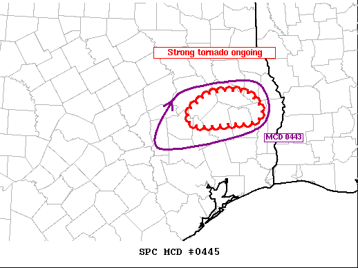 Mesoscale Discussion 445