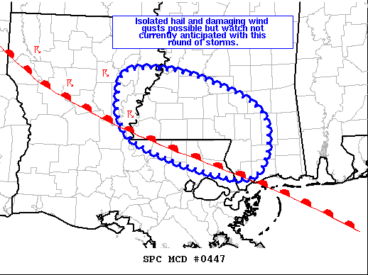 Mesoscale Discussion 447