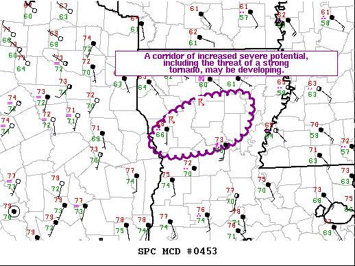 Mesoscale Discussion 453