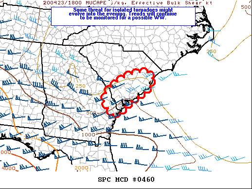 Mesoscale Discussion 460