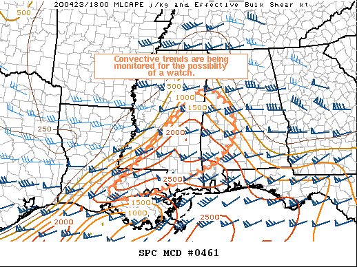 Mesoscale Discussion 461