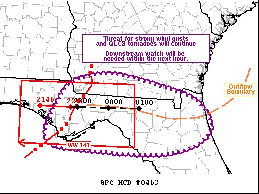 Mesoscale Discussion 463