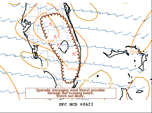 Mesoscale Discussion 623