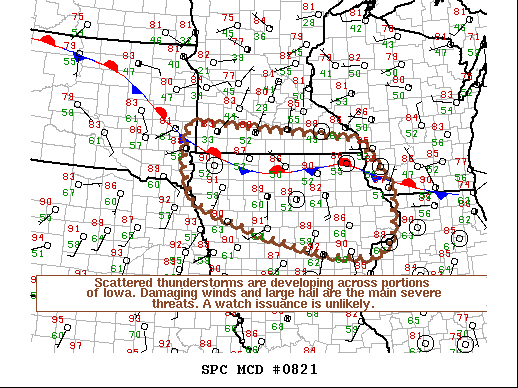 Mesoscale Discussion 821