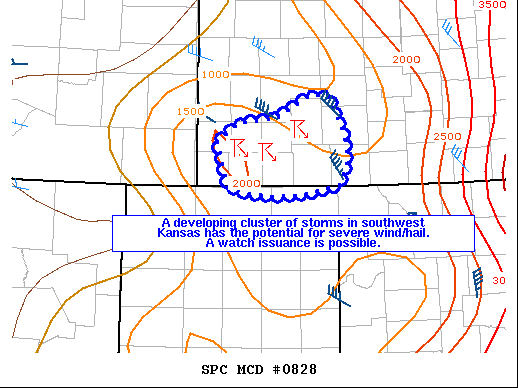 Mesoscale Discussion 828
