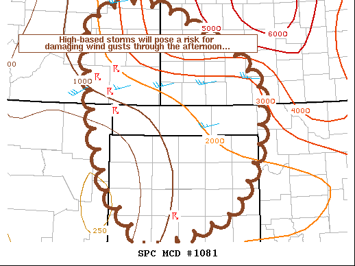 Mesoscale Discussion 1081