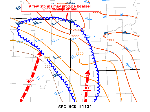 Mesoscale Discussion 1131