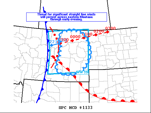 Mesoscale Discussion 1133