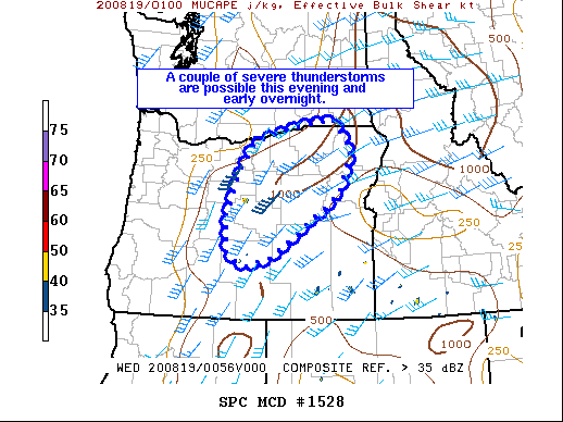 Mesoscale Discussion 1528