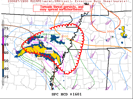Mesoscale Discussion 1601