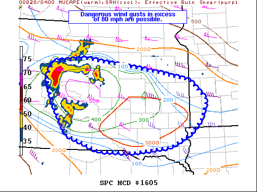 Mesoscale Discussion 1605