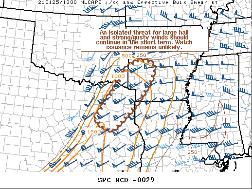 Mesoscale Discussion 29