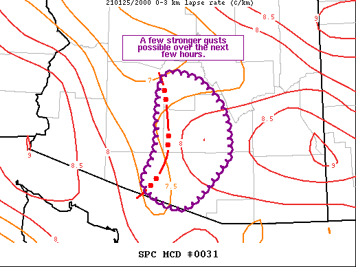 Mesoscale Discussion 31