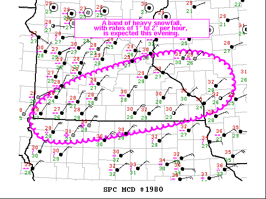 Mesoscale Discussion 1980