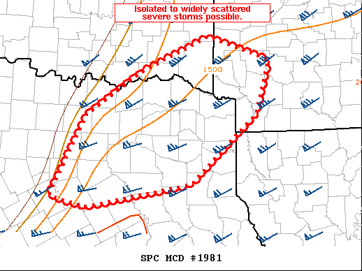 Mesoscale Discussion 1981