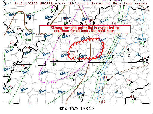 Mesoscale Discussion 2010