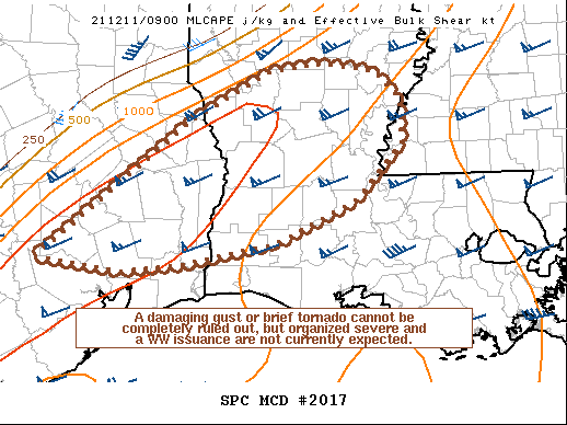Mesoscale Discussion 2017