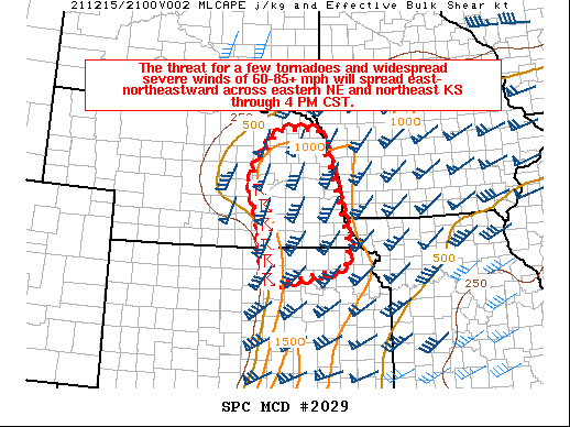 Mesoscale Discussion 2029
