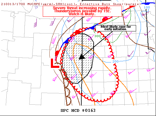 Mesoscale Discussion 163