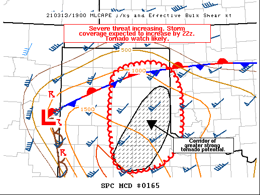 Mesoscale Discussion 165