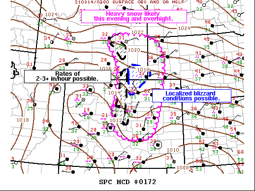 Mesoscale Discussion 172