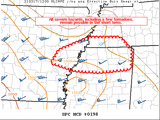 Mesoscale Discussion 198