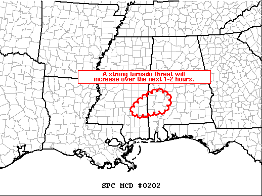 Mesoscale Discussion 202