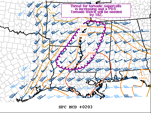 Mesoscale Discussion 203