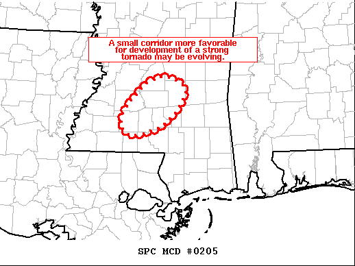 Mesoscale Discussion 205