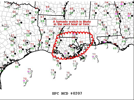 Mesoscale Discussion 207