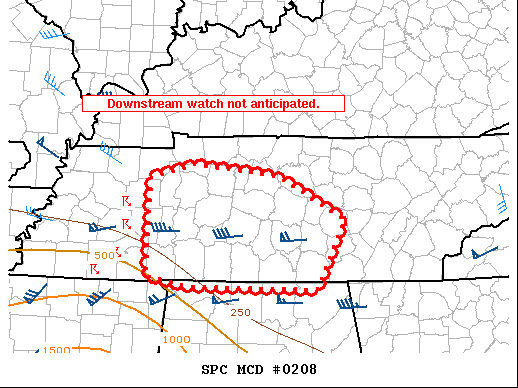 Mesoscale Discussion 208