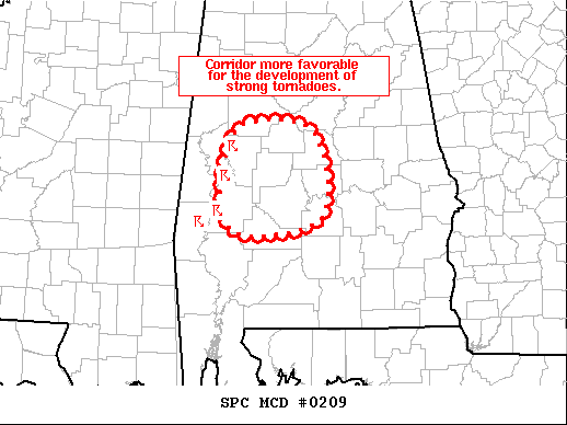 Mesoscale Discussion 209
